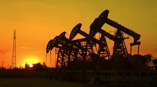 Rosja wraz z Arabią Saudyjską i USA jest jednym z największych producentów ropy naftowej na świecie i jest głównym dostawcą energii do Europy