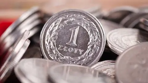 Złoty pod presją. "W ciągu najbliższego tygodnia możemy testować poziom 4,65 zł za euro"