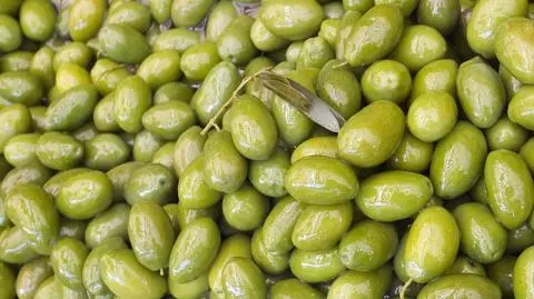 Plaga kradzieży winorośli, oliwek i migdałów w Apulii