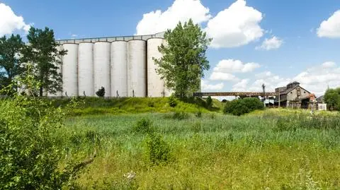 NIK miażdży Elewarr. Zbożową spółką zajmie się prokuratura