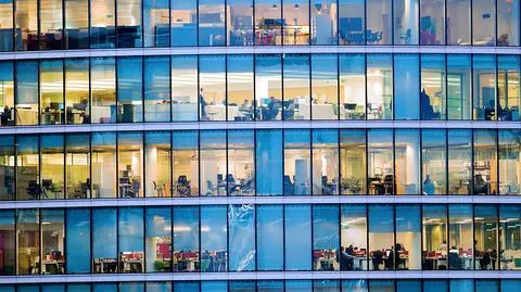 Tych umiejętności będą szukać pracodawcy w najbliższych latach. Najnowszy raport