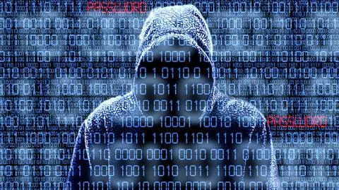 Czeski minister finansów padł ofiarą Anonymous
