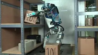 Roboty mogą zastąpić w W.Brytanii zagranicznych pracowników