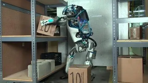 RF: roboty mogą zastąpić w W.Brytanii zagranicznych pracowników