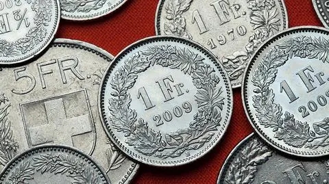 Propozycje ZBP dla frankowiczów