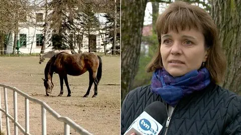 Organizator "Pride of Poland" o rozwiązaniu umowy ze stadninami