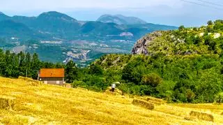 Włoski rząd proponuje bezpłatną ziemię dla rodzin, w których urodzi się trzecie dziecko