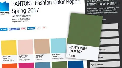 New York Fashion Week: kolor roku 2017 - zieleń Kale