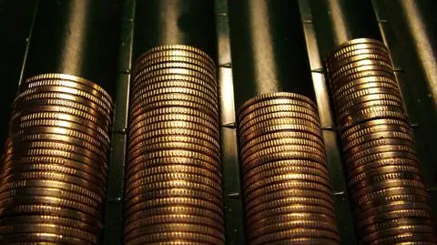 Kapica: od 2005 roku liczba kontroli skarbowych spadła o 58 proc.