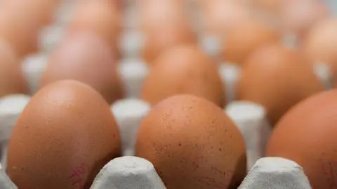 Polacy nie potrafią rozpoznać jajek