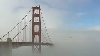 Polskie firmy wkraczają do Doliny Krzemowej. Amerykańskie eldorado największych i najbardziej innowacyjnych firm świata zapraszają firmy z Polski. To właśnie tam w nowe firmy inwestuje się około 35 miliardów USD rocznie, a siedziby mają m.in. Facebook, Google czy Intel. Czy rodzime przedsiębiorstwa mają szansę na tak globalny sukces?