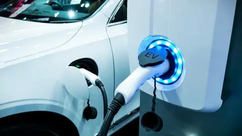 Sprzedaż samochodów elektrycznych opiera się głównie na firmach