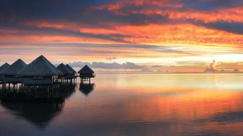 Dokumenty w TVN24 Biznes i Świat