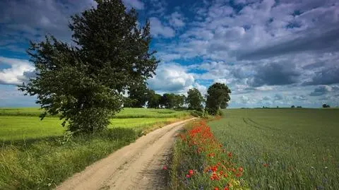 Prezes ANR: duże zainteresowanie rolników dzierżawą państwowej ziemi