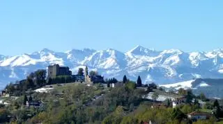 W Piemoncie na północy Włoch rośnie liczba kradzieży orzechów