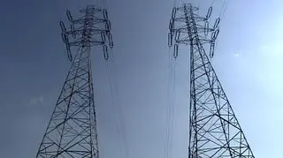 Od 1 maja koncern Vattenfall chce podnieść ceny energii o mniej więcej 10 procent. Mimo, że prąd podrożał zaledwie niecałe trzy miesiące temu, producenci mają co najmniej kilka powodów, by znów podnieść ceny. Oprócz budżetów domowych ucierpi też przemysł, który wykorzystuje 70 proc. krajowej podaży energii. Więcej za energie płacą m.in. Czesi, Węgrzy i Niemcy. I - według analityków tego rynku - nie ma żadnych powodów, by ta różnica w cenach utrzymywała się zbyt długo... 