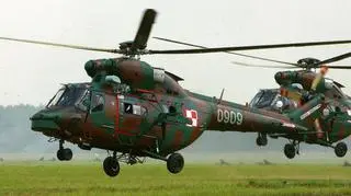 Podczas wizyty w Polsce papież Franciszek będzie podróżował śmigłowcem W-3 Sokół