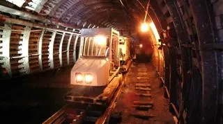  Nowelizacja ustawy o funkcjonowaniu górnictwa węgla kamiennego, która umożliwia realizację części rządowego planu naprawy Kompanii Węglowej, weszła w życie na początku lutego