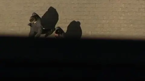 Inwestora portret własny