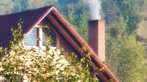 Paliwa stałe nie muszą truć. Polska jest producentem pelletu