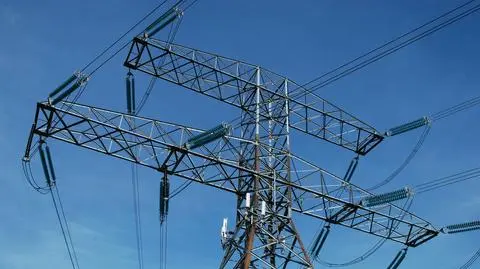 Apel Litwy ws. elektrowni na Białorusi i w obwodzie kaliningradzkim