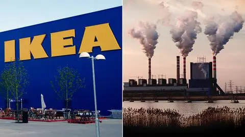 IKEA wyda miliard euro na walkę z ociepleniem klimatu