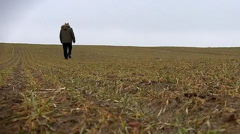 Senat poparł ustawę ws. obrotu ziemią z poprawkami
