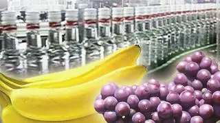 Obok "czystej" na półkach stanie "bananówka" i "winogronówka"