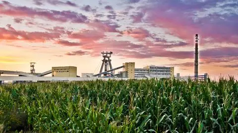 Enea chce przejąć kontrolę nad LW Bogdanka