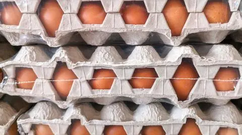 Jaja wycofane z obrotu. Komunikat GIS