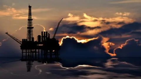 Ceny ropy nadal spadają. OPEC liczy na innych producentów ropy