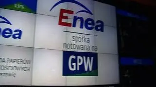 Oferta grupy Enea, która powstała w 2003 roku warta jest blisko 2 miliardy złotych - jest trzecią co do wielkości w historii polskiej giełdy. I choć w spółkę zainwestował koncern Vattenfall - kupił prawie 19 proc. akcji - a pozostali inwestorzy dostali 5 procent - to Enea wciąż pozostaje w rękach państwa. Ministerstwo skarbu ma ponad 76 proc. udziałów.