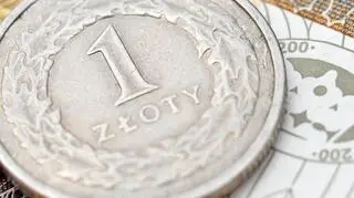 20 z 22 ankietowanych ekonomistów uważam że NBP pozostawi w lutym stopy bez zmian 