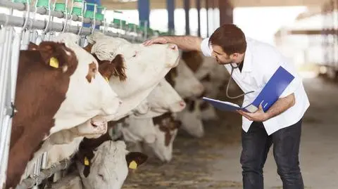 Protest w Inspekcji Weterynaryjnej. Pracownicy nie przyszli do pracy