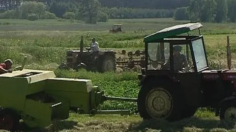 Posłowie o dopłatach do upraw rzepaku