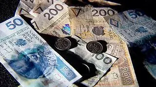  Postulat obniżenia z 15 tys. euro do 3 tys. euro progu dla obowiązkowego rozliczania się bezgotówkowego przez przedsiębiorców - to jedyna rozbieżność w rządzie ws. Prawa Działalności Gospodarczej