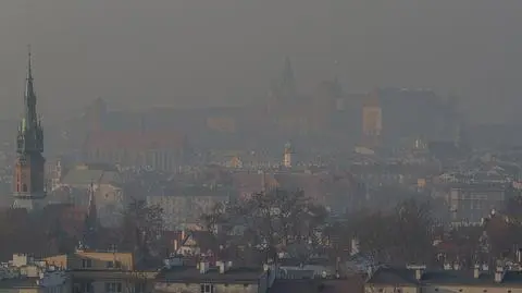 Alarm smogowy. Piotr Woźny, pełnomocnik premiera, o zmianie przepisów