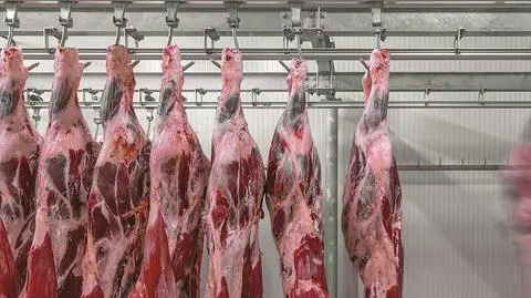 Czechy zapowiedziały nadzwyczajne kontrole