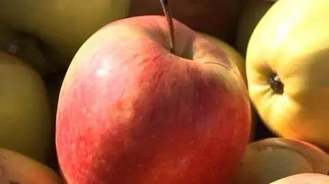 Ceny rosną mimo kryzysu