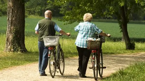 Rekomendacje MRPiPS: środki z OFE do FRD i zapis na kontach w ZUS