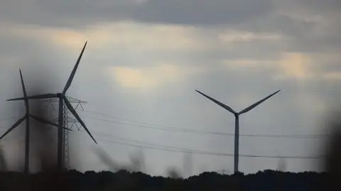 Premier o systemie ETS i Nord Stream 2. "Nasz głos, mam nadzieję, będzie coraz bardziej słyszalny"