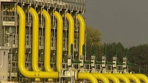 Nowe problemy z biopaliwami