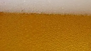 Branża piwna spodziewa się wzrostów w tym roku