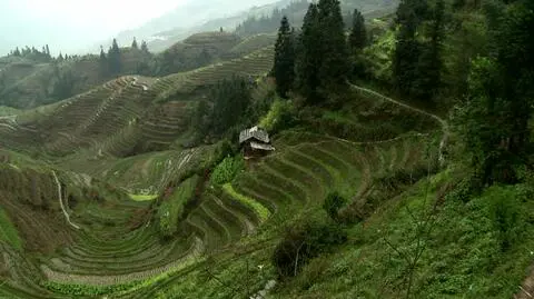 "Pieprz i wanilia: Wspomnienia z Południa"