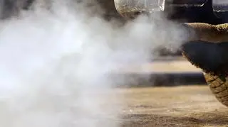 Wojewoda przeciwko strefie czystego transportu