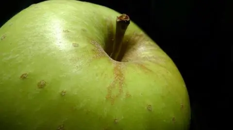 USA zatwierdziły nowe odmiany GMO