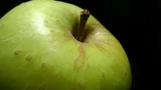 Zatwierdzone odmiany jabłek nie brązowieją