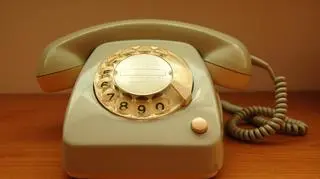 Obecnie większość unijnego rynku telefonii stacjonarnej należy do pięciu gigantów