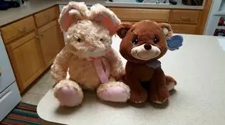 Policjant z Karoliny Północnej przyniósł dzieciom pluszaki