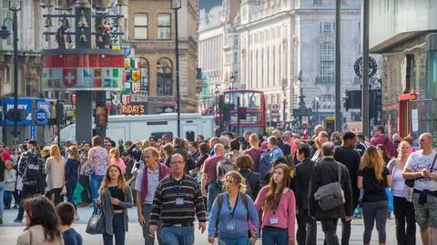 NBP: Polacy pracujący za granicą w 2016 roku